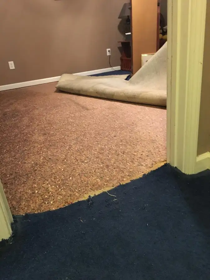 Carpet pad removal revealing water damage during Water Mitigation Services in Freehold