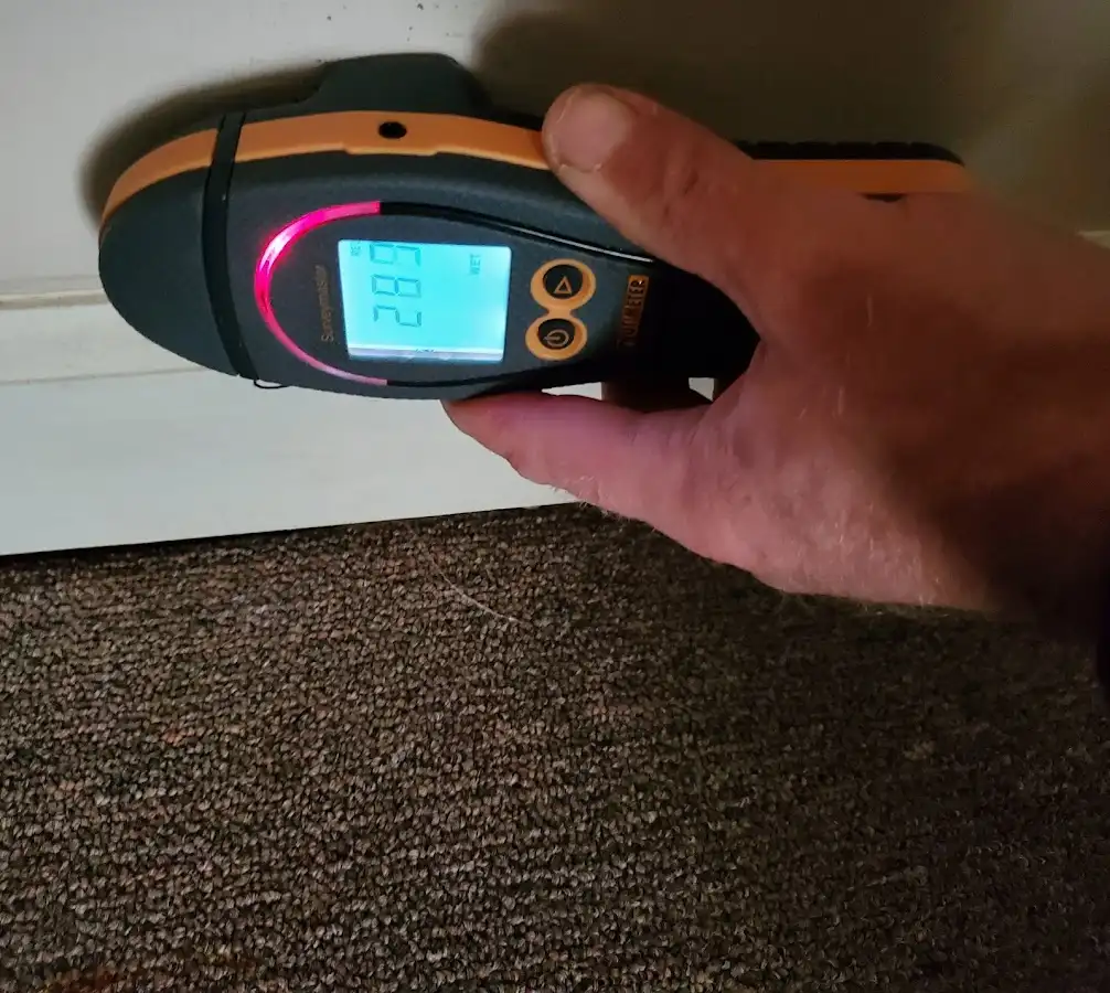 Moisture detection at baseboard during Mold Inspection & Testing in Freehold